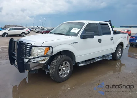 2010 Ford F150 Fx4/Harley-Davidson/King Ranch/Lariat/Platinum/Xl/Xlt z USA, uszkodzony, nr VIN 1FTFW1EV9AFB16010